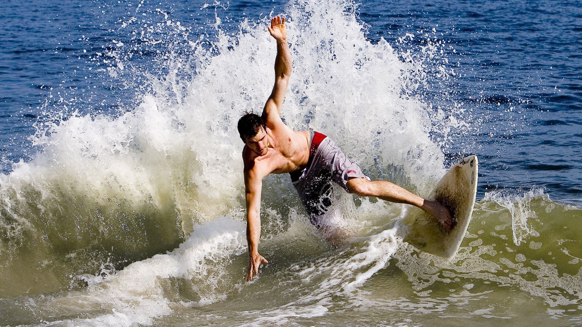 乐鱼官方网站-体育新闻中心联合高校建设体育数据分析中心，高校体育教学信息资源建设与共享探讨